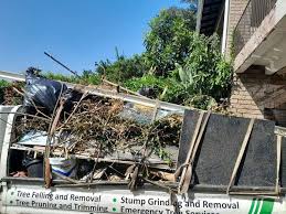 Best Garage Cleanout  in Orland Park, IL