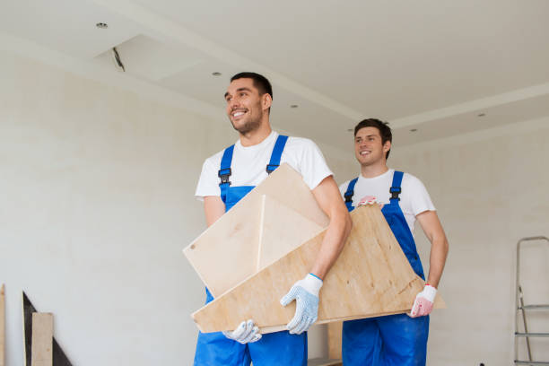 Best Electronics and E-Waste Disposal  in Orland Park, IL