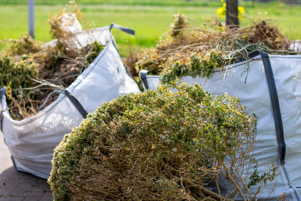 Reliable Orland Park, IL Junk Removal Services Solutions